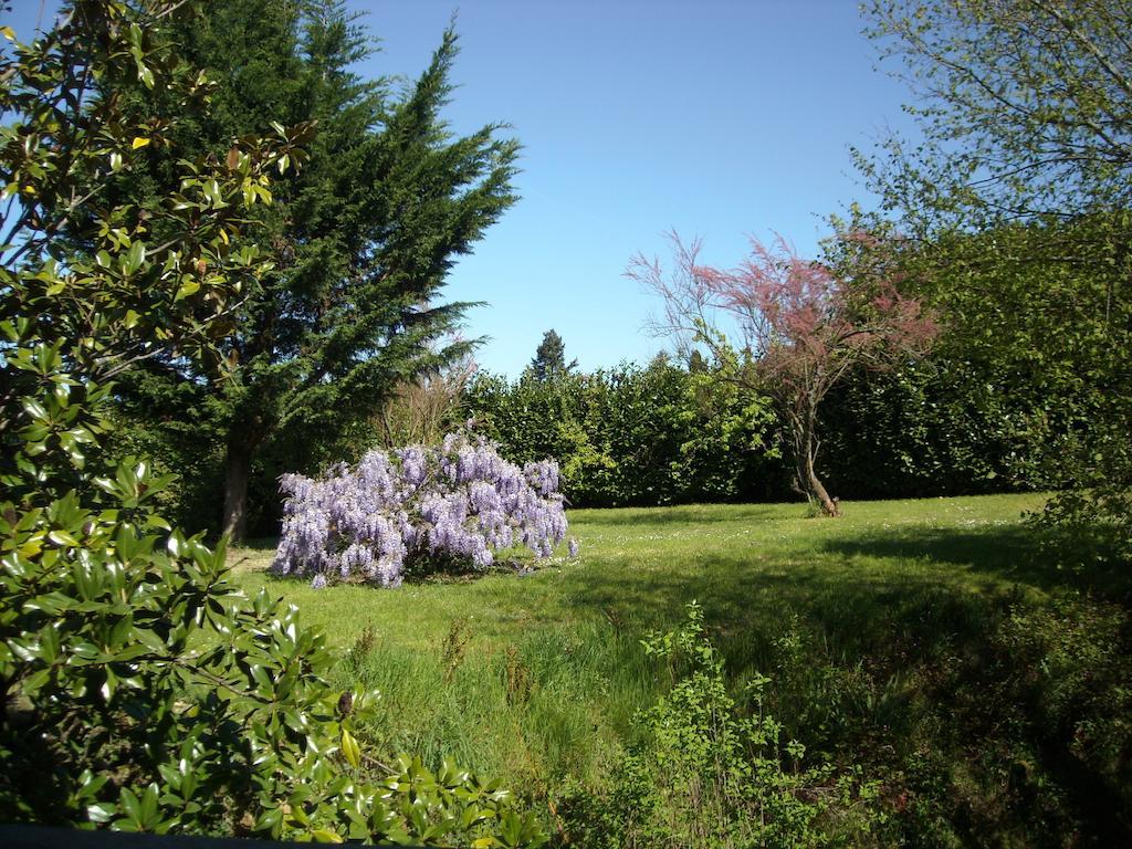 Bed and Breakfast La Tour Des Laudes Breuil-Barret Zimmer foto